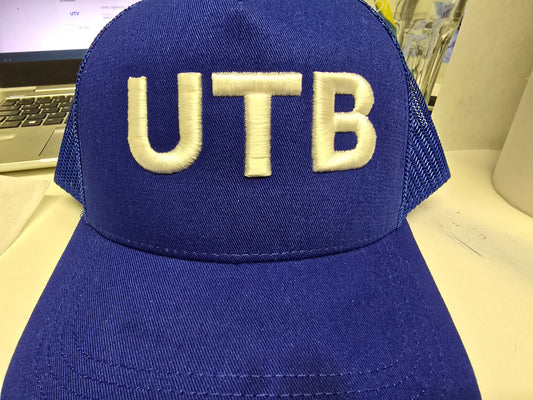 3d embroidered cap
