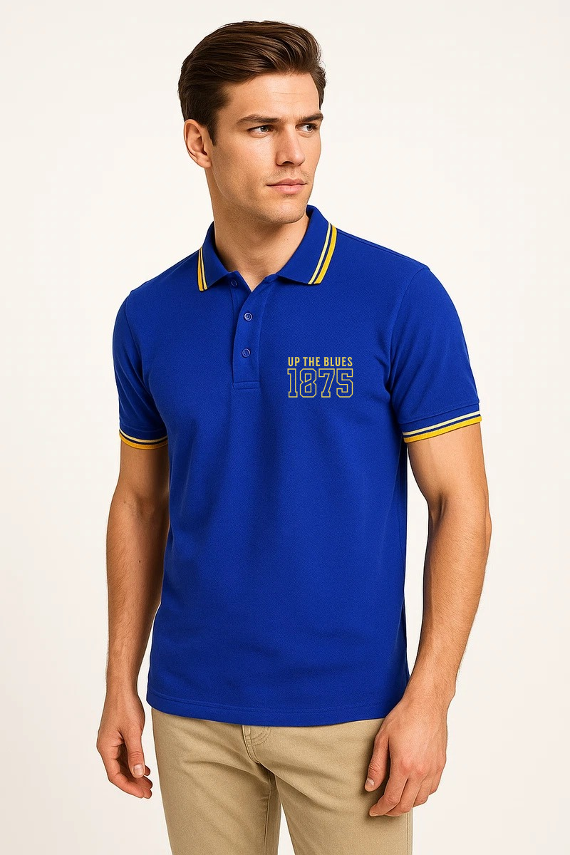 Blue and gold polo shirt (check sizing image)