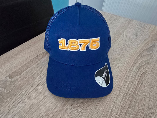 1875 3d puff mesh back cap