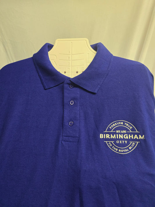 We are Birmingham polo