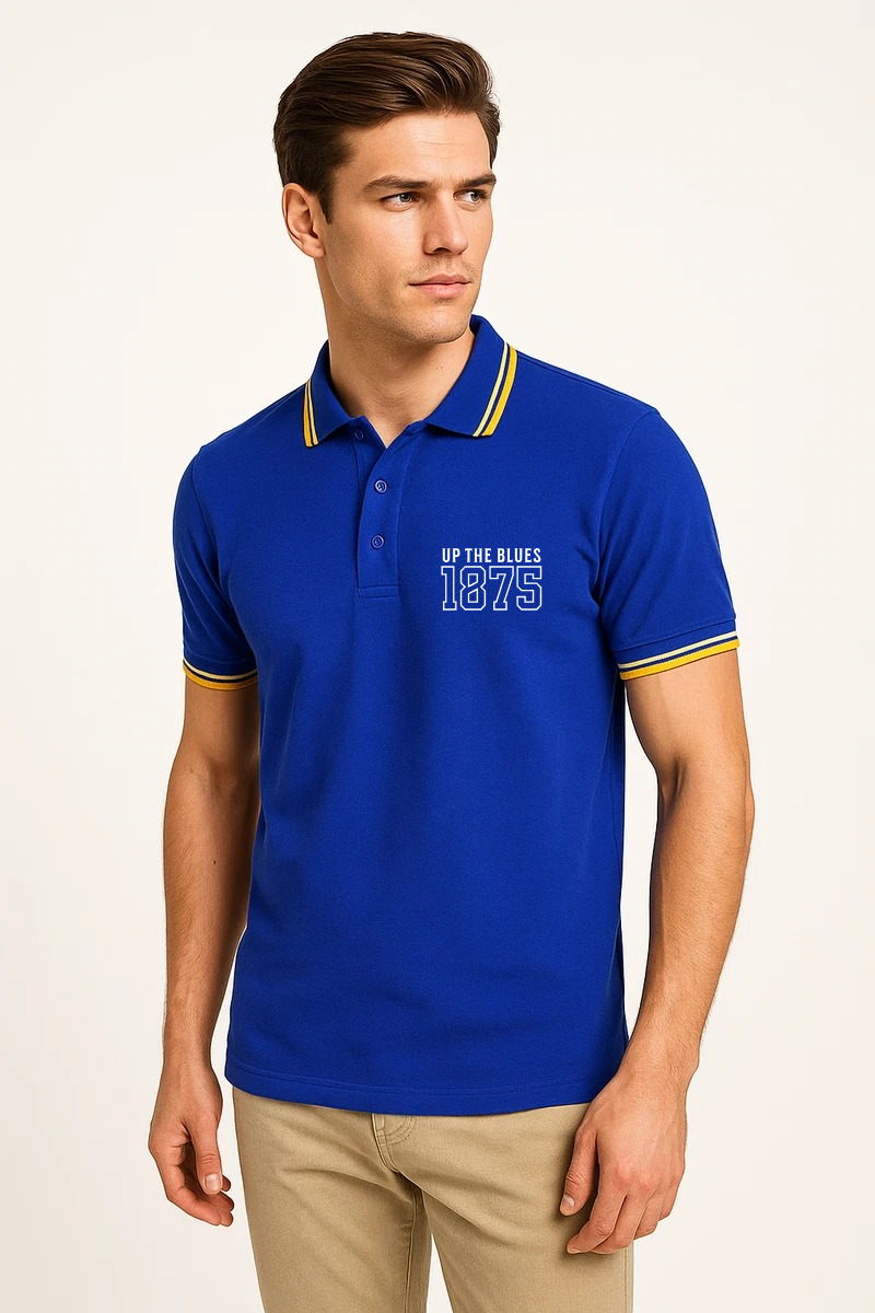 Blue and gold polo shirt (check sizing image)
